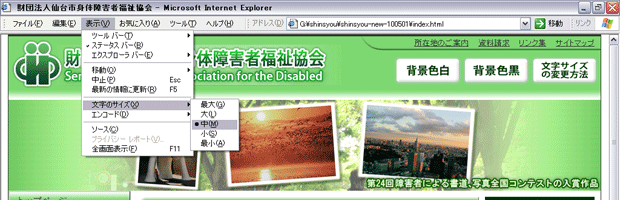 Internet Explorer 6.0の表示画像